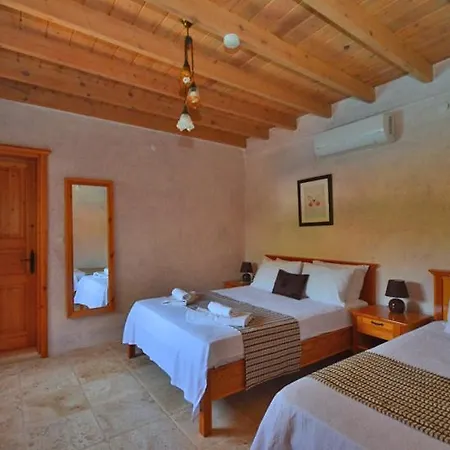 Vilă Villa Bambu